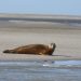 baie de somme